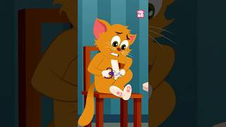 Funny Kitty Cutting Nails  Binocs and Kitty Funny Moment fingernails funnykittens drbinocs [upl. by Erdnad]