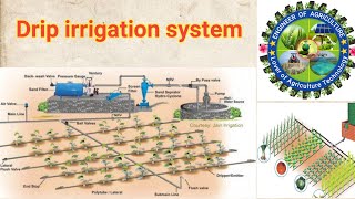 drip irrigation working model  drip irrigation system  drip irrigation model [upl. by Martie]