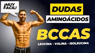 Dudas de TOMAR SUPLEMENTOS ❌ proteinas aminoácidos o BCAAS resubido [upl. by Raina544]