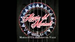 Maria De La Luz Mariachi Los Arrieros Del Valle [upl. by Arekahs161]