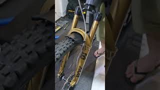 Fox 38 50th Anniversary limited edition foxsuspension fox fox38 suspension fork mtb bike [upl. by Oirretno]