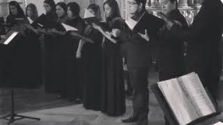 Miserere Mei  Allegri fragmento Ensamble Vocal Octoekos [upl. by Malvin]