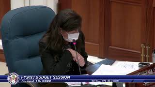 36th Guam Legislature FY2023 Budget Session  August 16 2022 PM Pt2 [upl. by Spring221]