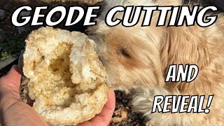 Geode Cutting LIVE with The Crystal Collector 💎 [upl. by Ayhtin]