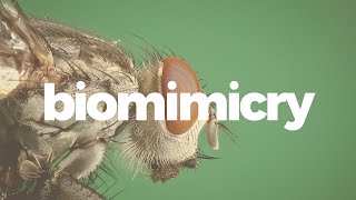 Biomimicry is more than just good design [upl. by Haroun]