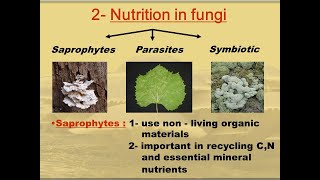 FSc BIOLOGY Nutrition in FUNGI [upl. by Zirkle866]