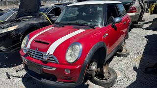 Pristine Mini Cooper at the junkyard [upl. by Lessard]