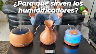 ¿Para que sirve un humidificador ultrasónico 🌺 Beneficios de los humidificadores [upl. by Edijabab]