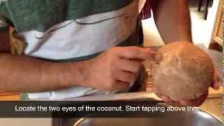 How to Open a Coconut and Grate Using ikamyu A New Guam Coconut Grater [upl. by Kreda]