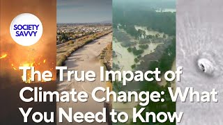 The True Impact of Climate Change What You Need to Know [upl. by Assiar]