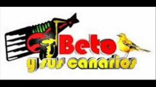 Tengo Ganas Beto y sus canarios [upl. by Mukerji]