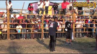 MAS Y MAS BOX RANCHERO LA CHICOCANA 2014 VOL 2 [upl. by Omissam]