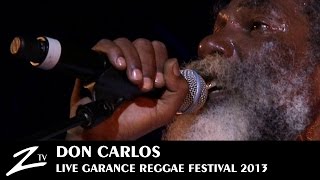 Don Carlos  Garance Reggae Festival 2013  LIVE [upl. by Niuqram998]