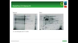 2D Electrophoresis Tips amp Tricks  Part I [upl. by Ardnnek]