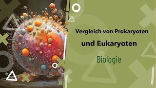 Pro und Eukaryoten im Vergleich Was ist der Unterschied  Zelle  Beispiele  Zellkern [upl. by Ayamat]