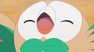 Pokemon Battle  Rowlet vs Decidueye [upl. by Thaxter]