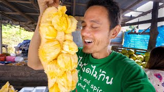 How To Eat CEMPEDAK FRUIT  Harvesting and Eating Exotic Asian Fruit NOT a Jackfruit [upl. by Godspeed100]