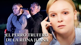 EL PERRO TRUFERO DE LA REINA JUANA  PELICULAS DE SUSPENSO  Películas Completas en Español Latino [upl. by Weatherby]