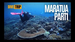 VLOG  DIVE TRIP  Maratua East Borneo Indonesia  Part 1 [upl. by Postman]