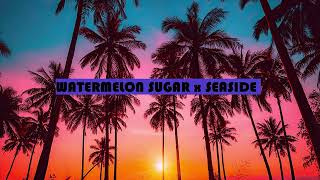 Watermelon Sugar x Seaside  Harry Styles x SEB NEW 2022  Fixed Edit [upl. by Clareta]