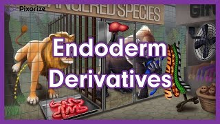 Endoderm Derivatives Mnemonic  MCAT Preview [upl. by Loree270]