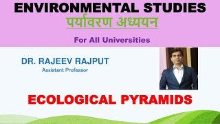 Ecological Pyramids  Environmental Studies [upl. by Eicnahc]