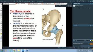 Joints of the Lower Limb Hip and KneeDr Ahmed Farid [upl. by Prosperus]