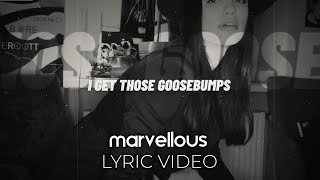 HVME  Goosebumps Official Lyric Video [upl. by Aimil479]