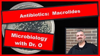 Macrolide Antibiotics like Azithromycin Microbiology [upl. by Aydiv881]