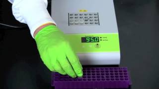 Alu PV92 Detection by PCR [upl. by Anid]