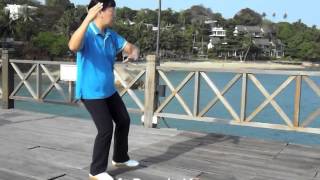 Tai Chi for Arthritis 1 n 2 Taichi for HealthBy Jennifer Chung TaiChi SJY web taichisg [upl. by Ijar]