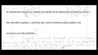 Examen de lengua resuelto selectividad Andalucia 2021 sintaxis y morfología [upl. by Ayaj]