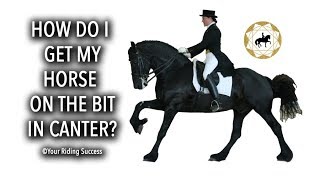 HOW DO I GET MY HORSE ON THE BIT IN CANTER  Dressage Mastery TV Episode 210 [upl. by Neelyhtak]