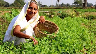 Farm Fresh Matar Shag Ghanta Recipe by our Grandmother  Indian Bangali Village Food [upl. by Ijar]