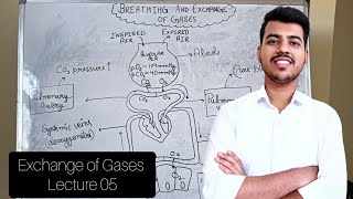 Breathing and Exchange of Gases  lecture 05 Class 11  Neet Ncert Biology  GauravSinghania0003 [upl. by Naitsyrk]