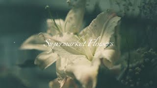 lyrics Supermarket Flowers  Ed Sheeran [upl. by Nisen24]