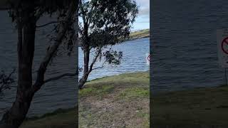 Ben Chifley dam fishing Bathurst fishing yew [upl. by Mossberg654]