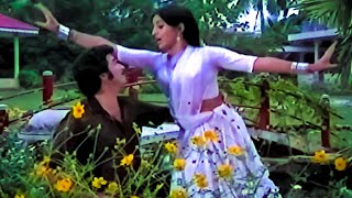 Krishna Ambika Evergreen Superhit Video Song  Naidu Gari Abbayi Movie Songs  Telugu Video Songs [upl. by Ahtiuqal]