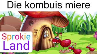 🐜Die kombuis miere  Kinderstories  luisterstorie gogga storie oulike kort storie  storietyd [upl. by Annohsal964]