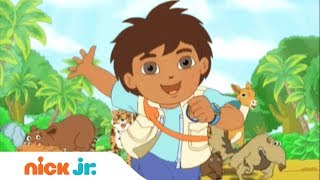 Go Diego Go  Música de abertura 🎤  Nick Jr [upl. by Errot]