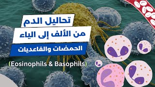 تعداد خلايا الدم البيضاء WBC Count  الحمضات والقاعديات Eosinophils amp Basophils 🔬 [upl. by Jefferson]