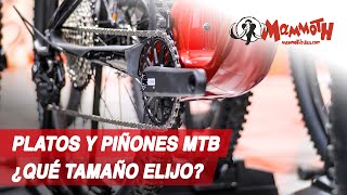 Platos y piñones para MTB ¿Qué tamaño elegir [upl. by Iclehc]