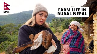 72 hours Farmers Life in Rural Nepal 🇳🇵 [upl. by Haceber]