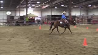 ARHA World Show Ranch Riding [upl. by Enellij303]