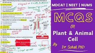 MCQS on Differences Between Animal and Plant cell  MDCAT  NUMS  JSMU  ETEA [upl. by Clarinda447]