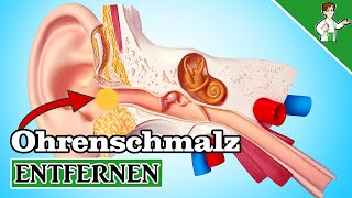 Ohrenschmalz entfernen  5 Möglichkeiten zum Ohren reinigen [upl. by Ronica]