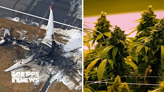 Runway near misses and addictive THC  Scripps News Investigates [upl. by Harehs]