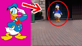 7 PATO DONALD Captados en CÁMARA y Vistos en la Vida REAL [upl. by Grussing]