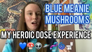 An Insanely Raw Trip Report  5 grams of Blue Meanie Mushrooms Heroic Dose [upl. by Nairrot]