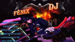 🎼🎹🎤 MIX ORQUESTAS CAYAMBEÑAS VIEJITAS PERO BUENAS FENIX DJ [upl. by Tuddor346]